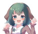  1girl :d animal_ears bangs blue_eyes blush commentary_request dog_ears dress eyebrows_visible_through_hair face green_hair gumi_9357 hands_up kasodani_kyouko long_sleeves looking_at_viewer open_mouth shirt short_hair simple_background smile solo touhou upper_body white_background 