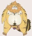  2022 anthro balls belly big_belly censored felid flaccid genitals humanoid_genitalia humanoid_hands humanoid_penis kemono male mammal minkmen_(one_piece) moobs navel nekomamushi nipples one_piece overweight overweight_male penis scar simple_background solo taro_heppoko 