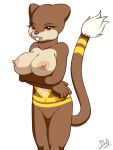  alpha_channel anthro barely_visible_genitalia barely_visible_pussy big_breasts black_nose breast_rest breasts brown_body brown_fur buckteeth dipstick_tail female fibs fur genitals markings navel nintendo pok&eacute;mon pok&eacute;mon_(species) pussy simple_background solo tail_markings teeth transparent_background video_games watchog yellow_markings 
