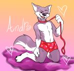  andre_wolf anthro biped bulge canid canine canis clothed clothing collar digital_media_(artwork) fur hi_res leash male mammal simple_background skittles_yeen smile solo underwear wolf 