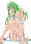  blush fire_emblem fire_emblem:_rekka_no_ken green_hair long_hair lyndis_(fire_emblem) rex_k solo 