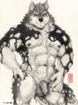  2022 abs anthro balls black_body black_fur canid canine canis dated domestic_dog felixleong flaccid foreskin fur genitals hi_res humanoid_genitalia humanoid_penis husky lifewonders live-a-hero male mammal monochrome monomasa multicolored_body multicolored_fur muscular muscular_anthro muscular_male nipples nordic_sled_dog nude pecs penis pubes smile solo spitz toronoeroaka traditional_media_(artwork) two_tone_body two_tone_fur video_games white_body white_fur 