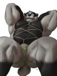  2022 3:4 absurd_res anthro badger bdsm black_body black_fur bondage bound bulge clothed clothing echo_(series) echo_project fur green_clothing green_underwear grey_body grey_fur hands_behind_head hi_res light_bondage looking_at_viewer lying male mammal mostly_nude multicolored_body muscular muscular_male mustelid musteline nikolai_(the_smoke_room) on_back restraints rope rope_bondage shibacream simple_background solo the_smoke_room two_tone_body underwear underwear_only video_games visual_novel white_background 