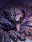  2022 3:4 anthro blaidd_(elden_ring) canid canine canis catsudon claws duo elden_ring fellatio fromsoftware fur genitals male male/male mammal oral penile penis sex tongue tongue_out video_games wolf 