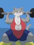  big_breasts blush bodily_fluids bottomwear breasts clothed clothing domestic_cat felid feline felis female fur genitals gym_clothing hi_res huge_breasts leotard lion_granny mammal mature_female nipple_outline simple_background smile solo sweat sweatpants sweaty_genitalia thick_thighs 
