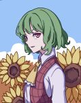  1girl absurdres ascot collared_shirt commentary field flower flower_field garden_of_the_sun green_hair highres kame_(kamepan44231) kazami_yuuka long_sleeves plaid plaid_vest red_eyes red_vest shirt short_hair smile solo sunflower touhou vest wavy_hair white_shirt yellow_ascot 