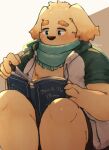  10_cosmo_24 2022 anthro biped book canid canine canis clothed clothing cu_sith_(tas) domestic_dog hi_res hoodie humanoid_hands kemono lifewonders male mammal open_clothing open_hoodie open_topwear reading scarf sitting slightly_chubby solo tokyo_afterschool_summoners topwear video_games 