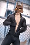  anthro bodysuit bulge canid canine canis canyne_khai clothing dreamworks hi_res male mammal mr._wolf_(the_bad_guys) muscular muscular_anthro muscular_male skinsuit smile solo the_bad_guys tight_clothing undressing wolf yellow_sclera zipper_down 