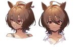  1girl agnes_tachyon_(umamusume) ahoge animal_ears bangs brown_hair closed_mouth collarbone collared_shirt earrings hair_between_eyes highres horse_ears jewelry looking_at_viewer looking_to_the_side medium_hair multiple_views nu_tarou_(tr84635391) open_mouth portrait red_eyes shirt single_earring smile teeth_hold umamusume white_background white_shirt 