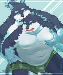  2022 anthro belly big_belly blue_eyes bulge canid canine canis clothing domestic_dog duo groping_from_behind humanoid_hands kemono male male/male mammal moob_grab moobs natsuhakoura navel nipples overweight overweight_male underwear white_body 