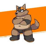  2022 anthro belly black_nose brown_body bulge canid canine canis clothing cute_fangs domestic_dog flappydog flappydog_(character) kemono male mammal mask navel one_eye_closed overweight overweight_male simple_background solo underwear wink 