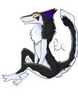  absurd_res anthro black_body black_fur fur hi_res male markie purple_body purple_fur raised_tail sergal simple_background solo triangular_ears white_background yellow_eyes 