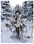  1girl absurdres animal animal_ears arknights bird black_hair black_scarf black_shirt border coat dog_tags ear_piercing extra_ears forest full_body fur-trimmed_hood fur-trimmed_sleeves fur_trim gloves hair_between_eyes highres holding holding_sword holding_weapon hood hood_down hooded_coat id_card long_hair looking_at_viewer multicolored_hair nature official_alternate_costume open_clothes open_coat outdoors pantyhose petting piercing pine_tree planted planted_sword red_eyes red_gloves red_hair scarf scenery shirt shorts shuimo snow solo standing streaked_hair sword tail texas_(arknights) texas_(winter_messenger)_(arknights) tree weapon white_border white_coat white_footwear white_shorts winter winter_clothes winter_coat wolf wolf_ears wolf_girl wolf_tail 