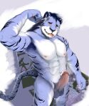  blue clothing coat erection felid genitals hi_res male male/male mammal mirror muscular pantherine papilla penis solo spermary tail tiger tongue topwear 