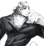 1boy animal_ears arknights bara collared_shirt fingernails fluffy furry furry_male fuyodo highres large_hands large_pectorals looking_at_viewer male_focus mountain_(arknights) mountain_(dark_cloud)_(arknights) muscular muscular_male partially_unbuttoned pectorals scar scar_across_eye scar_on_face sharp_fingernails shirt short_hair solo thick_eyebrows tiger_boy tiger_ears upper_body white_fur 