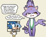  anthro bikini blaze_the_cat blush clothing domestic_cat duo eulipotyphlan felid feline felis female hedgehog hi_res itsunknownanon male mammal sega sling_bikini sonic_the_hedgehog_(series) sunscreen swimwear 