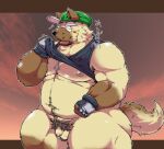  2022 anthro balls belly big_belly black_nose blush brown_body canid canine canis clothing domestic_dog flaccid genitals hat headgear headwear hi_res humanoid_genitalia humanoid_hands humanoid_penis kemono male mammal moobs nipples overweight overweight_male penis pubes solo suishou0602 