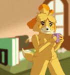 animal_crossing anonymous_artist anthro belly beverage breasts canid canine canis cel_shading coffee domestic_dog eye_bags female genitals hair isabelle_(animal_crossing) mammal messy_hair morning mug nintendo nipples nude office pussy shaded shih_tzu snout solo steam tail tied_hair tired tired_eyes toy_dog yellow_body