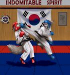  fox lynx sparring taekwondo tagme 
