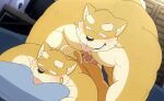  anal anal_penetration animated anthro beartouma_0517 bungo_(beartouma_0517) canid canine canis domestic_dog duo father father_and_child father_and_son genitals incest_(lore) male male/male mammal monta_(beartouma_0517) parent parent_and_child penetration penis son tongue tongue_out 