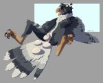 animal_genitalia anthro avian avian_feet bird cloaca cloacal cloacal_penetration egg egg_insertion feathers genitals grey_body grey_feathers happy hi_res male masturbation oviposition penetration smthlittle solo tail tail_feathers wings