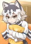  :3 animal_ears blush cowboy_shot eastern_wolf_(kemono_friends) ev_(kemomimizuku) gloves green_eyes grey_hair grey_shirt hair_between_eyes highres hugging_object kemono_friends long_sleeves looking_at_viewer looking_up multicolored_hair paw_print pillow pillow_hug shirt short_hair sidelocks two-tone_hair two-tone_sleeves white_gloves white_hair white_shirt wolf_ears wolf_girl 