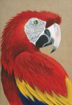 2012 acrylic_painting_(artwork) ambiguous_feral ambiguous_gender ara_(genus) avian beak bird blue_body blue_feathers brown_background feathered_wings feathers feral graystripe64 macaw multicolored_body multicolored_feathers neotropical_parrot painting_(artwork) parrot primary_colors red_body red_feathers scarlet_macaw shaded simple_background solo traditional_media_(artwork) true_parrot wings yellow_body yellow_eyes yellow_feathers