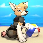  ball beach beach_ball butt canid canine canis clothed clothing crossdressing domestic_dog herding_dog housepets! inflatable king_(housepets!) looking_at_viewer male mammal pastoral_dog seaside solo swimwear trashbadger webcomic welsh_corgi 