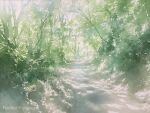 absurdres bush day forest grass highres nature no_humans original path plant scenery shadow sunlight toyonaga_ryouhei tree 