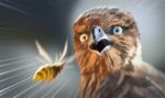 2023 ambiguous_gender arthropod avian bird dated digital_drawing_(artwork) digital_media_(artwork) duo feral flying hymenopteran insect shocked shocked_expression wasp xannador