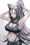  1girl animal_ears arknights armpits arms_up bare_arms bare_shoulders black_scarf breasts cat_ears cat_tail cleavage commentary crop_top gradient_background grey_background grey_hair hair_between_eyes highres large_breasts long_hair looking_at_viewer midriff mouth_hold navel poni_(poni_arknights) ponytail scarf schwarz_(arknights) solo stomach tail upper_body very_long_hair white_background yellow_eyes 