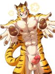  anthro balls casual_erection casual_nudity erection felid fingers fur furtissier genitals hi_res humanoid_genitalia humanoid_hands humanoid_penis looking_at_viewer male mammal muscular muscular_anthro muscular_male nipples nude pantherine penis simple_background smile solo striped_body striped_fur stripes tail tiger 