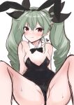 1girl absurdres airi_(akamichiaika) anchovy_(girls_und_panzer) animal_ears arms_behind_back bangs bare_legs black_bow black_bowtie black_leotard black_ribbon blush bow bowtie breasts brown_eyes closed_mouth collar commentary detached_collar drill_hair fake_animal_ears girls_und_panzer green_hair hair_ribbon heart highres leaning_back leotard long_hair looking_at_viewer m_legs medium_breasts playboy_bunny rabbit_ears ribbon simple_background sitting sketch smile solo spread_legs strapless strapless_leotard sweat twin_drills twintails white_background white_collar 