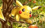  bird closed_mouth commentary_request food frown fruit in_tree leaf matsuri_(matsuike) no_humans orange_(fruit) outstretched_hand pidgey pikachu pokemon pokemon_(creature) sweatdrop tree 
