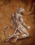  2022 anthro black_stripes collar digital_media_(artwork) felid fur male mammal nude orange pantherine rukis striped_body striped_fur stripes tiger white_body white_fur 