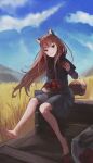  1girl absurdres animal_ears apple bangs barefoot black_capelet blue_sky blurry blurry_foreground brown_hair capelet cloud day dress floating_hair food fruit full_body fur-trimmed_capelet fur_trim grey_dress grin head_tilt highres holding holding_food holding_fruit holo long_hair long_sleeves looking_at_viewer mountainous_horizon outdoors qq1264702834 red_apple red_eyes short_dress sitting sky smile soles solo spice_and_wolf straight_hair tail very_long_hair wheat_field wolf_ears wolf_tail 