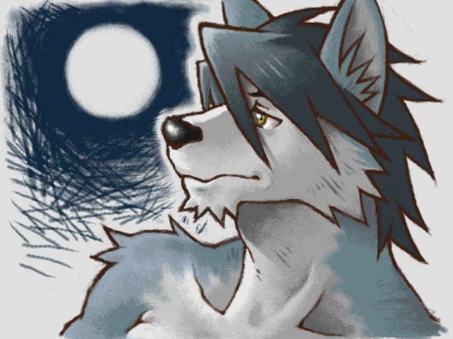 2011 anthro bangs black_nose brown_eyes bust_portrait canid canine canis colored countershade_face countershade_torso countershading domestic_dog fur grey_body grey_fur grey_hair hair husky kouya_(morenatsu) looking_away male mammal moon morenatsu multicolored_body multicolored_fur night_sky nordic_sled_dog portrait shirako simple_background solo spitz two_tone_body two_tone_fur video_games visual_novel white_background