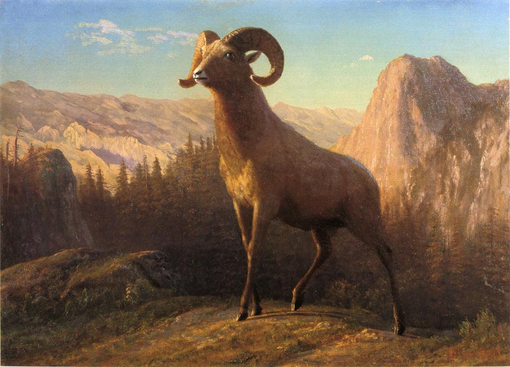 19th_century albert_bierstadt ancient_art bighorn_sheep bovid caprine detailed_background feral hooves horn landscape male mammal mountain oil_painting_(artwork) outside painting_(artwork) plant public_domain quadruped sheep sky solo traditional_media_(artwork) tree