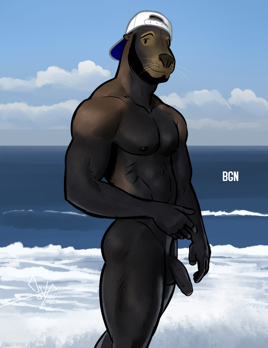 anthro backwards_baseball_cap backwards_hat balls baseball_cap beach beard bgn clothing facial_hair flaccid foreskin genitals hat headgear headwear hi_res male mammal marine mendo_(bgn) muscular muscular_anthro muscular_male nude pecs penis pinniped sea seal seaside solo water whiskers