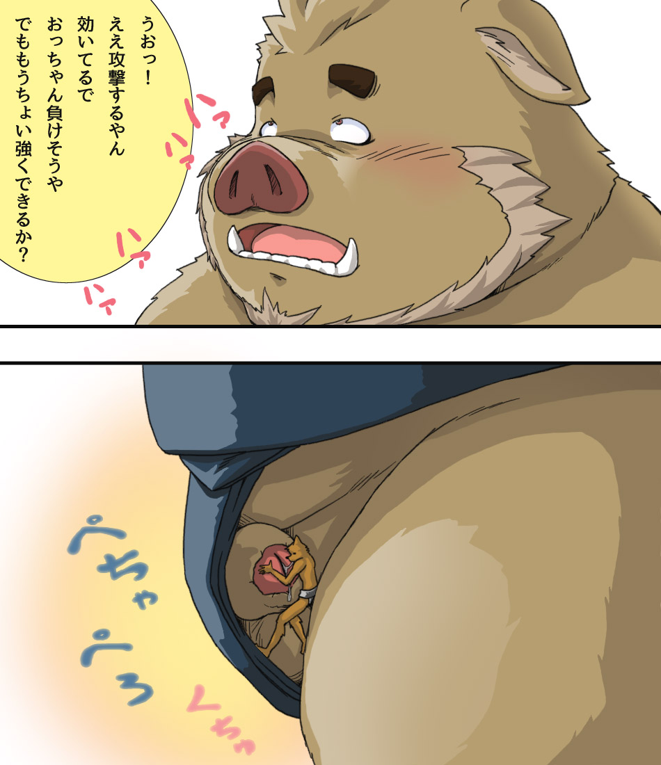 2022 anthro asian_clothing balls belly blush brown_body brown_fur canid canine clothing dekatanu duo east_asian_clothing flaccid fur genitals humanoid_genitalia humanoid_hands humanoid_penis japanese_clothing japanese_text kemono male mammal mawashi micro overweight overweight_male penis suid suina sus_(pig) text wild_boar