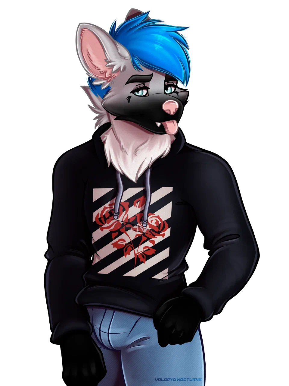 anthro blue_eyes blue_hair bottomwear bulge canid canine clothing denim denim_clothing fangs fox fur grey_body grey_fur hair hi_res hoodie jeans jye male mammal neck_tuft pants pink_nose rose_(disambiguation) solo tongue tongue_out topwear tuft volodyanocturne