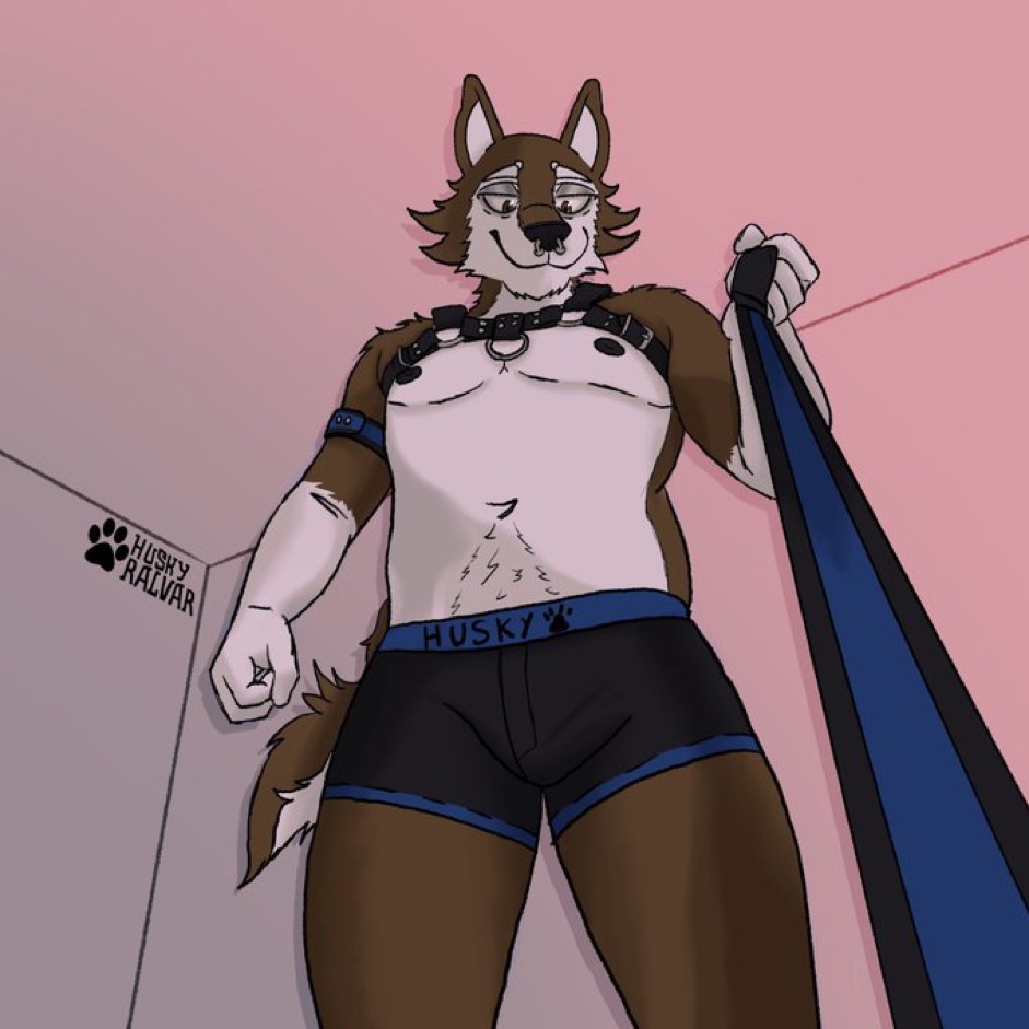 anthro bulge canid canine canis clothing domestic_dog facial_piercing first_person_view hair harness husky huskyralvar leash leash_pull leashed_pov looking_at_viewer male mammal nipples nordic_sled_dog nose_piercing piercing ralvar simple_background solo spitz underwear