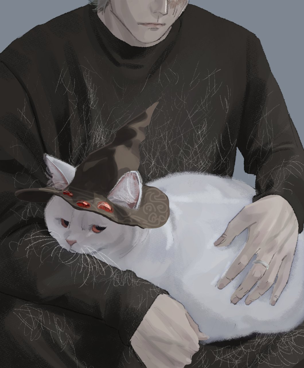 1boy animal_focus black_headwear black_sweater cat closed_mouth elden_ring grey_background hat head_out_of_frame highres jewelry mad_tongue_alberich red_eyes ring scar simple_background sitting solo sweater white_cat wizard_hat zaonyan