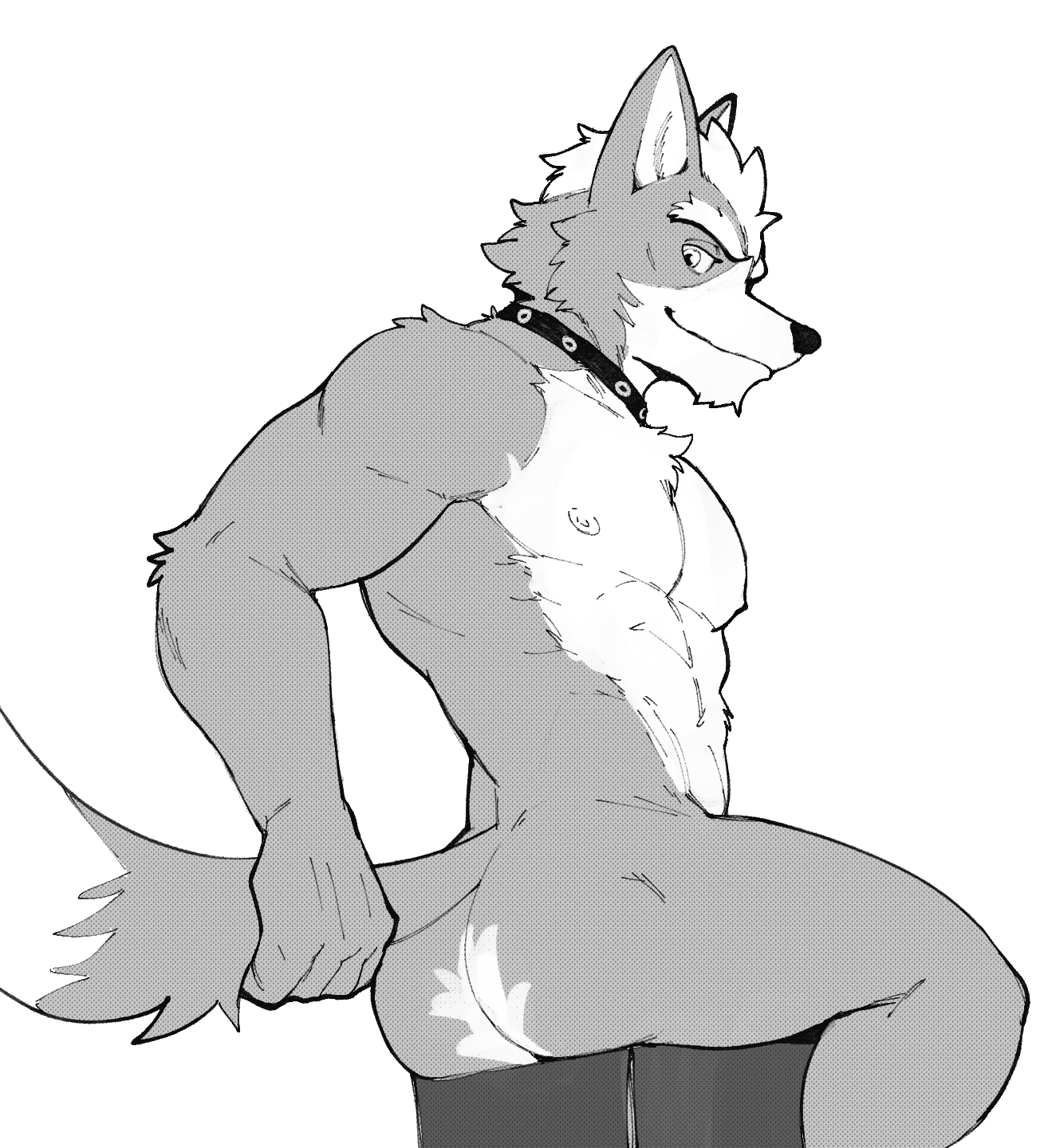 2024 abs anthro biceps big_butt big_muscles butt canid canine canis collar eyebrows fur hair hi_res jrjresq looking_back male mammal monochrome muscular muscular_anthro muscular_male narrowed_eyes nintendo nipples nude pecs presenting presenting_hindquarters raised_tail serratus simple_background sitting smile solo star_fox tail tail_grab thick_thighs tuft white_background wolf wolf_o'donnell