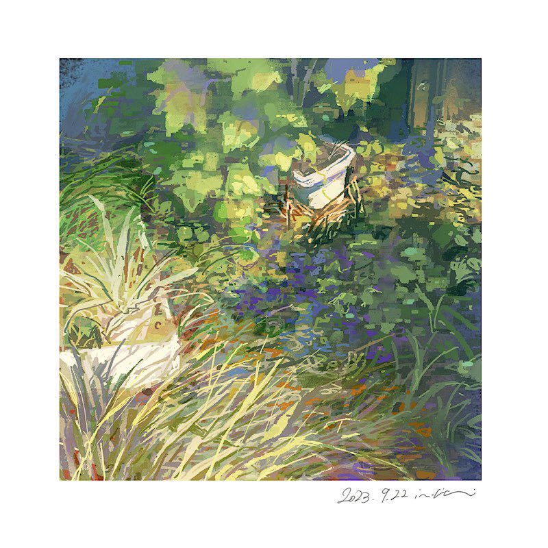 2023 aloe_(plant) border dated grass mimoth nature no_humans original overgrown painting_(medium) plant potted_plant sunlight tall_grass traditional_media white_border