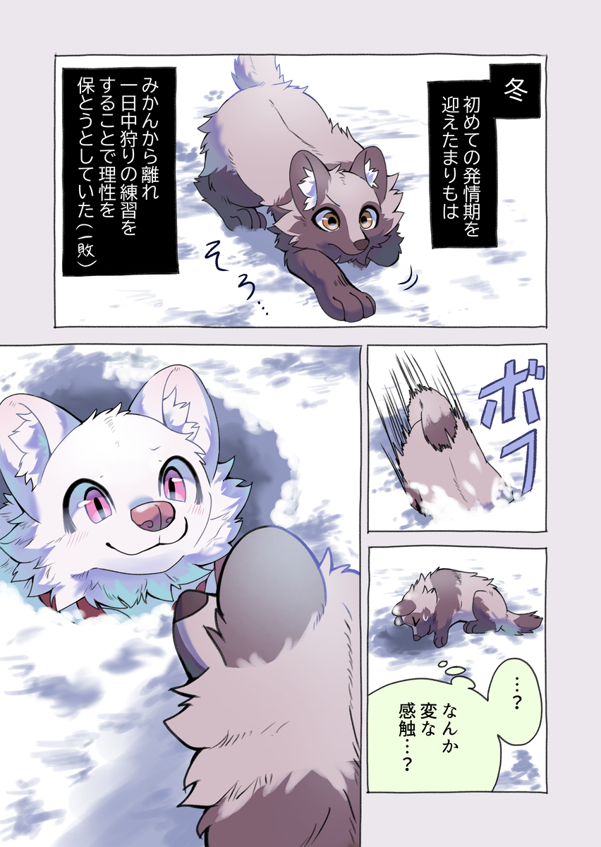 2023 ambiguous_gender black_nose brown_body brown_ears brown_eyes brown_fur canid canine cheek_tuft comic dialogue digital_media_(artwork) duo facial_tuft feral fur gloves_(marking) hakuri_(kurumilky6) hi_res inner_ear_fluff japanese_text jumping kurumilky6 mammal marimo_(kurumilky6) markings open_mouth prick_ears quadruped raccoon_dog red_eyes snow speech_bubble tan_body tan_fur tanuki text translation_request tuft white_body white_fur white_inner_ear_fluff