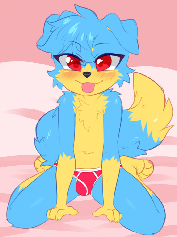 anthro blue_fur blue_hair blush briefs bulge canid canine canis child claralaine clothing cub dog fur hair male mammal navel red_eyes solo underwear young