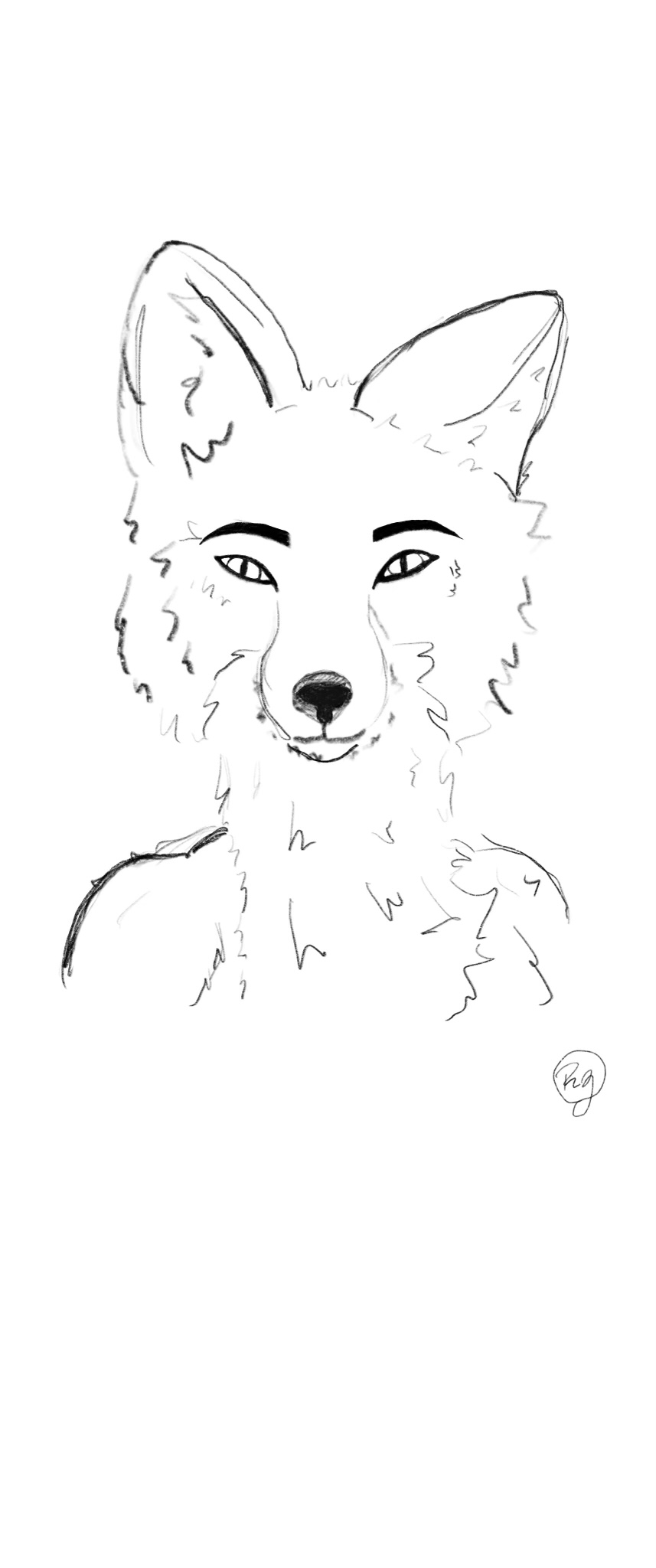 ambiguous_gender anthro canid canine chest_tuft digital_drawing_(artwork) digital_media_(artwork) fox fur hi_res inner_ear_fluff justkittenaround looking_at_viewer mammal monochrome mouth_closed neck_tuft red_fox simple_background sketch snout solo tuft