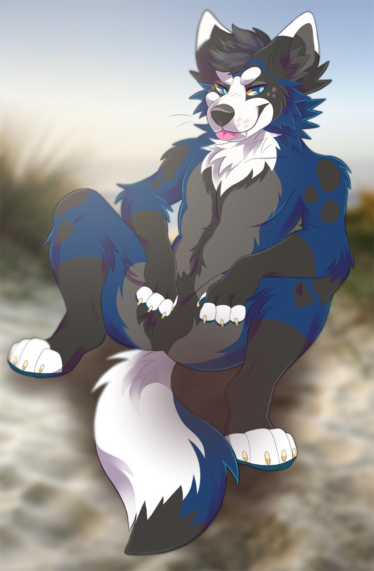 anthro black_body black_ears black_fur black_hair black_inner_ear black_inner_ear_fluff black_nose blep blue_body blue_eyes blue_fur blue_pawpads blue_tail blurred_background canid cheek_tuft chest_tuft claws crotch_tuft dipstick_ears elbow_tuft eyebrows facial_tuft fangs featureless_crotch finger_claws front_view fur grey_inner_ear hair inner_ear_fluff leg_tuft looking_aside male mammal multicolored_ears neck_tuft nude pawpads pink_tongue princelykaden shoulder_tuft smile solo spread_legs spreading tan_claws tan_sclera toe_claws tongue tongue_out tuft white_body white_ears white_eyebrows white_fur white_tail white_toes