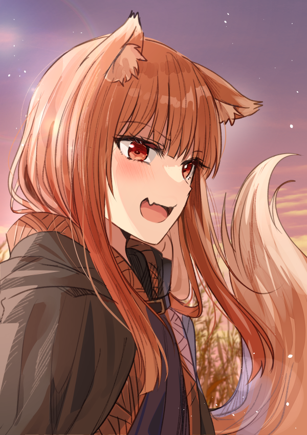 1girl :d animal_ear_fluff animal_ears black_cloak blush brown_eyes chocho_(homelessfox) cloak close-up cloud commentary_request dress dusk fang hair_over_shoulder holo hood hood_down korean_commentary long_hair looking_ahead loose_hair_strand open_mouth outdoors purple_dress purple_sky skin_fang sky smile solo spice_and_wolf star_(sky) tail tree upper_body wolf_ears wolf_girl wolf_tail